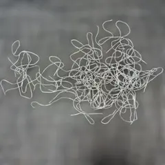 Item thumbnail for item d3559ca3-0416-44f8-bae6-d2d061f09c78