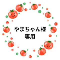 やまちゃん様　専用