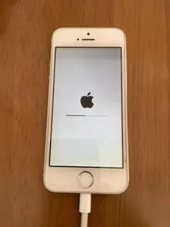 Apple iPhone 5s 本体