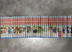 ハンターハンター　HUNTERXHUNTER　1巻〜36巻セット