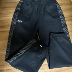 Item thumbnail for item 856a8b05-8015-4173-9840-7bb73c736473