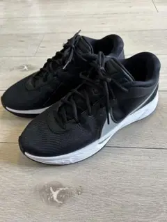 NIKE ズームフリーク6 27.5㎝