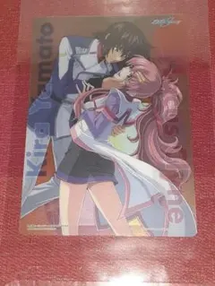 ガンダムSEED DESTINY キラ　ラクス　クリアプレートグラフィティ2