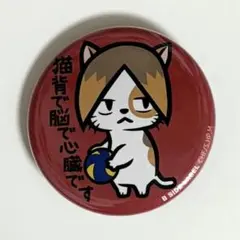 ハイキュー!! 缶バッジ 孤爪研磨 音駒