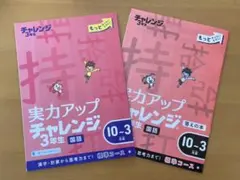新品未使用 進研ゼミ チャレンジ3年生 実力アップチャレンジ