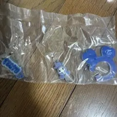 TWICE ラブリー ツウィ カラビナ