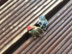 Item thumbnail for item 626c3665-9503-4d83-be0a-8e296dad39b8