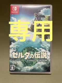 ゼルダの伝説 TEARS OF THE KINGDOM ※炭水化物大好き様専用※