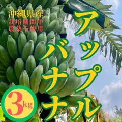 鹿児島バナナ大苗3セット】SALE - メルカリ