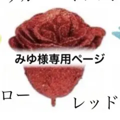 みゆ様専用ページ