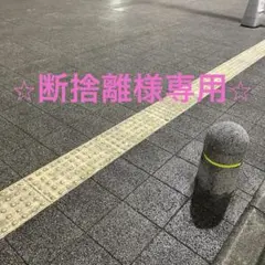 ⭐︎断捨離様専用⭐︎