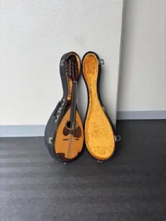 2025年最新】マンドリン M-30の人気アイテム - メルカリ