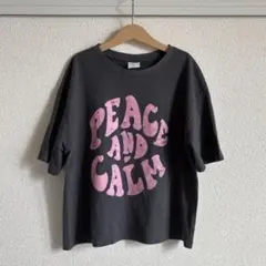 ZARA プリントロゴTシャツ 152のサムネイル