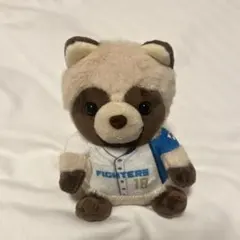 山崎福也 たぬき エスコン 4等