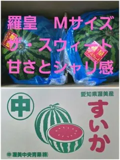 農家直送❗️熊本県産大玉スイカ羅王ザスイート - メルカリ