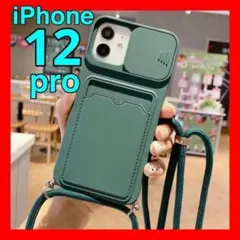 Item thumbnail for item b7f431ce-310e-407c-9c0c-a3163a14e0f0