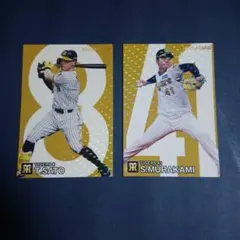 アリアス様 リクエスト 3点 まとめ商品