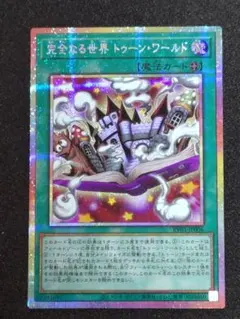 遊戯王 完全なる世界 トゥーン・ワールド プリシク - メルカリ