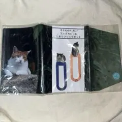 Item thumbnail for item 6e4c8d7e-02ec-4a86-b315-6aee70024130