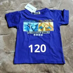 120サイズ　新品未使用　メガリザードンXとY　キッズ用半袖Tシャツ　ポケモンのサムネイル