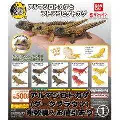 アルマジロトカゲ カプセルトイ