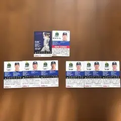 プロ野球チップス　ヤクルトスワローズ 8枚セット