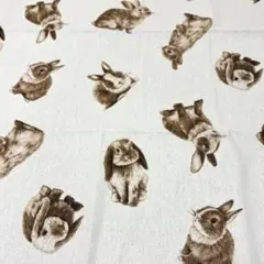 Item thumbnail for item e31eaf26-7bc9-4fde-92c7-1248557de84b