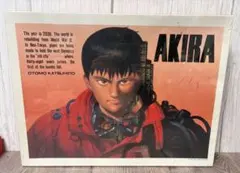 2026年最新】AKIRA ジグソーパズルの人気アイテム - メルカリ