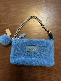 2026年最新】COACH カラー：ブルー系 レディース ポーチの人気アイテム