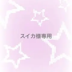◎スイカ様専用