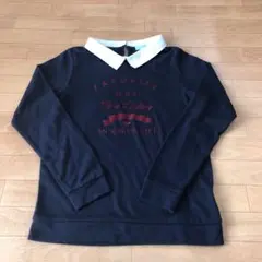 値下げ　Lindsay 襟付きロングTシャツ　リンジィ