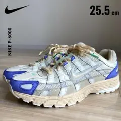 ✨定価14,300円✨NIKE P-6000