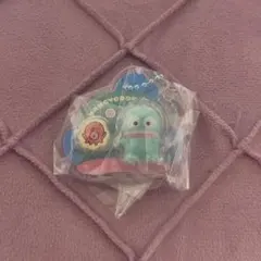 サンリオキャラクターズ パッケージチャーム＆チョコボーロ ハンギョドン