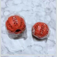 Item thumbnail for item 63809554-73d3-4286-81b1-4975f848d69c