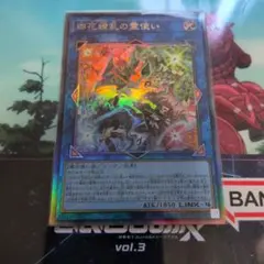 遊戯王　四花繚乱の霊使い　レリーフ　アルティメットレア
