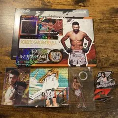 Item thumbnail for item 5e410dec-a3d8-427b-a7bd-cf99bd1fcbc3