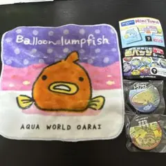 アクアワールド大洗　限定ガチャ　缶バッジ×2・ミニタオル