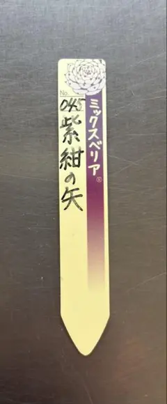 リンゼアナ実生 札のみ おらいさん苗 多肉植物 - メルカリ