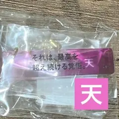 【新品】九条天 アイナナ ムビナナ 4周年 フレーズプレート キーホルダー