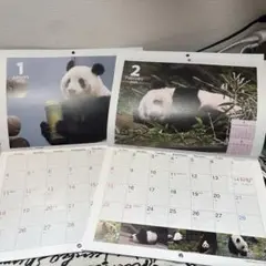 Item thumbnail for item 7cf6f7d1-fdf2-4bf1-ac60-9281d67feb5d