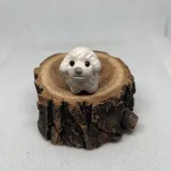 りなこな様 リクエスト 3点 まとめ商品