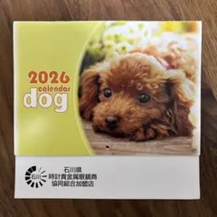 Item thumbnail for item 14c3a105-f7ab-4d07-b682-835304ad669d