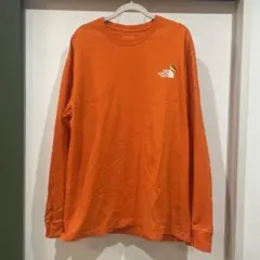 THE NORTH FACE ロングスリーブ　ズーピッカーTシャツ