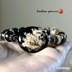 龍の様な模様のパームルート