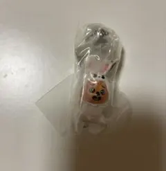 straykids skzoo つまんでつなげてますこっと Vol.2