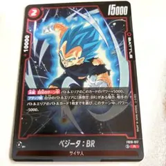 フュージョンワールド 【SR】孫悟空：BR/ベジータ：BR《FB09-011