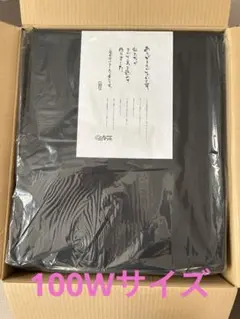 Item thumbnail for item 39968c00-1033-430f-a5cc-bc3cc29528f2