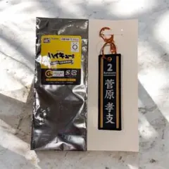 タイトーくじ ハイキュー!! フライトタグ 菅原孝支のサムネイル