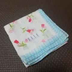 Item thumbnail for item 5edabed1-9453-4abe-8c59-6426d5d816e5