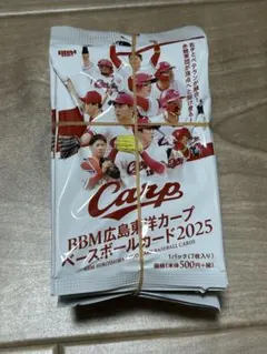 ベースボールカード2025